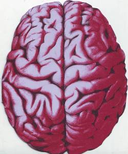 Maeror Tri : Language of Flames and Sound